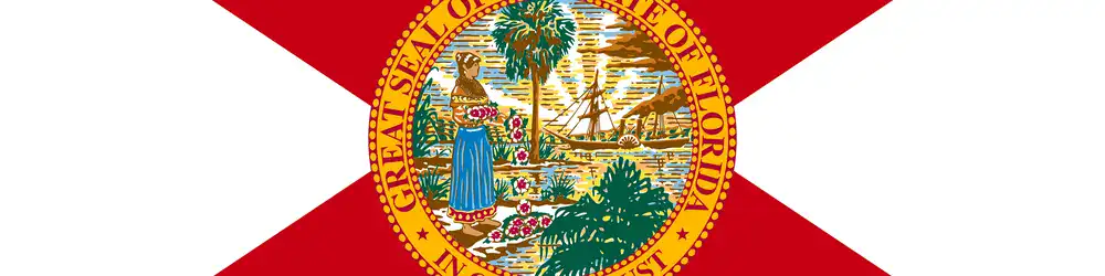 Tax attorney in Tampa, Florida